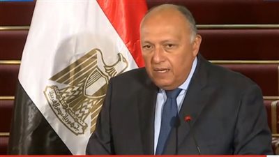 وزير الخارجية يُوجه بالتعامل الفوري مع الملاحظات الواردة على بعض مكاتب التصديقات