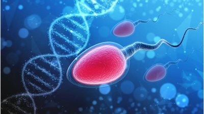 استشاري ذكورة: دراسات كورونا على الرجال غير دقيقة.. ولا يمكن التحليل قبل 6 أشهر من الإصابة