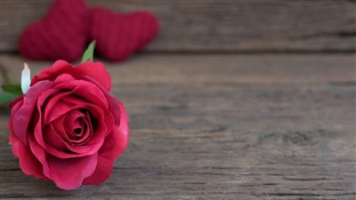 عيد الحب 2022.. كيف ارتبط 14 فبراير بـ يوم الحب ولماذا تعتبره الهند تلوثًا ثقافيًا؟ 