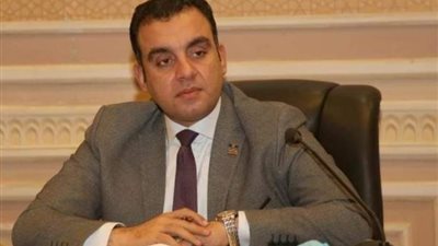 عضو بالشيوخ: مشروع قانون العمل يوازن بين الحفاظ على حقوق العمال ودفع عجلة التنمية