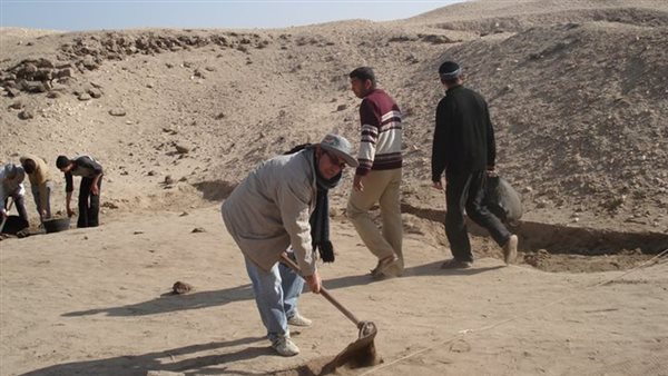 الدكتور رضا عبد الحليم