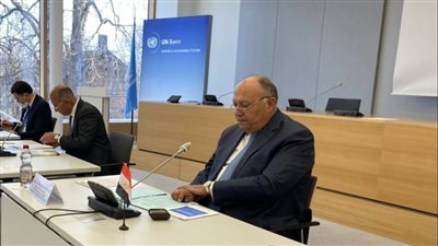 شكري يصل إلى بون الألمانية ويلتقي الأمينة التنفيذية لمؤتمر المناخ | صور