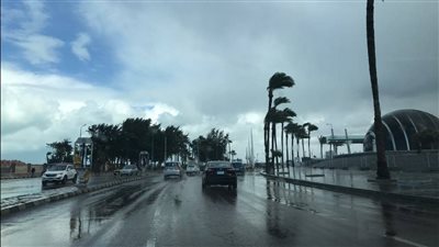 النشرة الصباحية | طقس شديد البرودة ليلًا.. والذهب عيار 21 يسجل 813 جنيهًا | بث مباشر