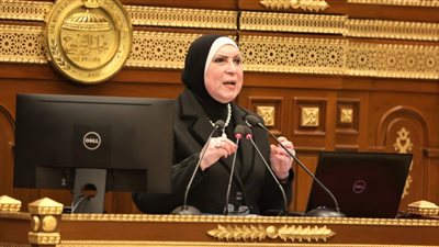 بحضور الوزيرة.. الاثنين المقبل مجلس النواب يناقش انتشار الأيدي العاملة الصينية وقيود استيراد السيارات