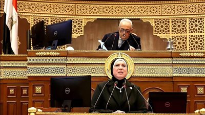 الشيوخ يحيل مناقشة سياسات وزارة التجارة بشأن تعميق التصنيع المحلى إلى اللجنة المختصة 