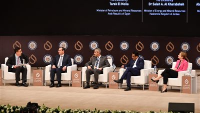 وزير البترول: ترسيم الحدود مع دول الجوار فتح آفاقا جديدة للتوسع فى نشاط البحث والاستكشاف