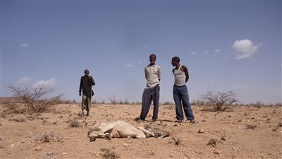 مجلس السلم الإفريقي يبحث اليوم مستجدات الأوضاع في الصومال