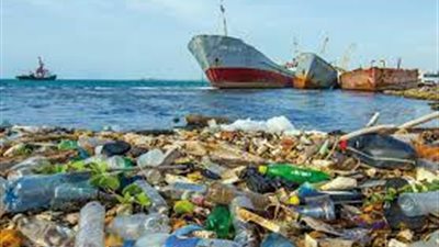 كيف يؤثر البلاستيك على الثدييات الصغيرة| دارسة