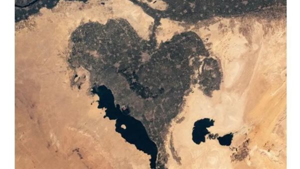 واحة الفيوم 