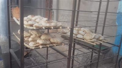 ضبط 9 مخالفات تموينية خلال حملة تفتيشية بمركز ناصر في بني سويف