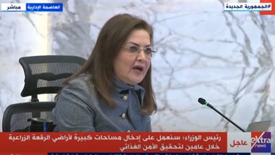 وزيرة التخطيط: الوزن النسبي لقطاع الاتصالات من الناتج المحلي نما إلى 3.5 %