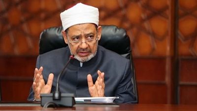 الباز عن حق الكد والسعاية: شيخ الأزهر ينحاز للحق والعدالة وليس للمرأة