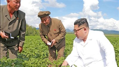 كوريا الشمالية تسجن مهندسين زراعيين فشلوا في إنتاج زهور احتفالات عيد ميلاد الزعيم | فيديو 