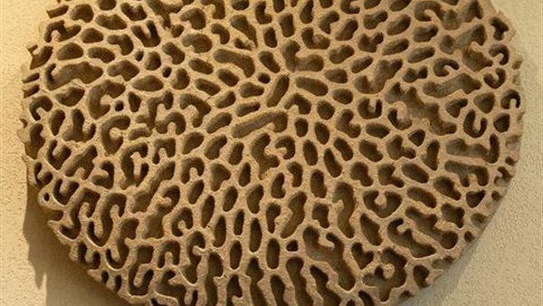 جانب من التصميمات