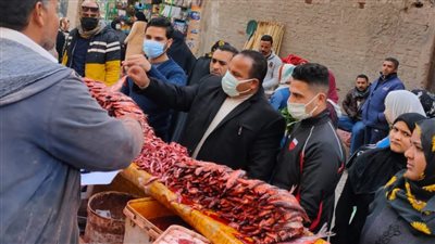 إعدام أكثر من 5 أطنان أغذية فاسدة وغلق 41 منشأة غذائية بالشرقية | صور