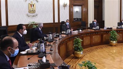 مجموعة ستيلانتس العالمية تخطط لإنتاج سيارات كهربائية منخفضة التكاليف في مصر