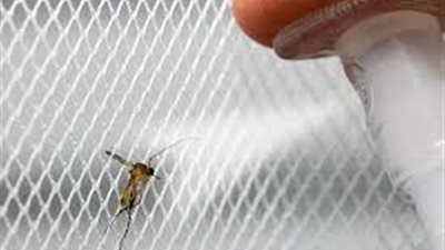 دراسة| البعوض يتعلم تجنب المبيدات الحشرية بعد التعرض الفردي غير المميت