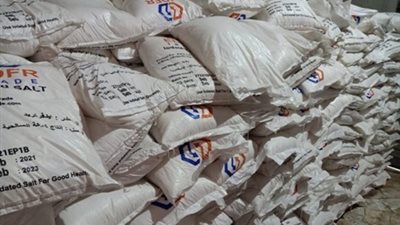 حملة تموينية مكثفة لضبط جرائم الغش التجاري بالإسكندرية | صور