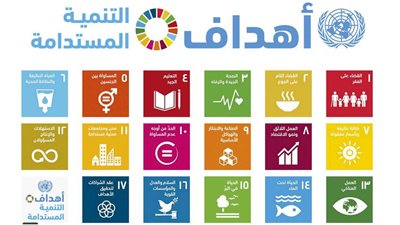 أوضاع الشباب المصري في ضوء أهداف التنمية المستدامة 2030|دراسة