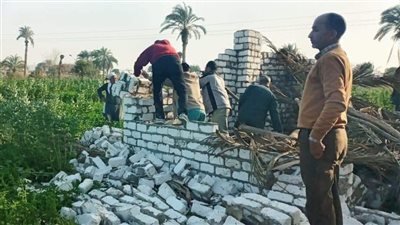 إزالة 5 حالات تعد على الأراضي الزراعية في المنيا