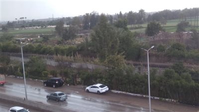 الطقس الآن.. سقوط أمطار غزيرة وانخفاض في درجات الحرارة بالغربية | صور 