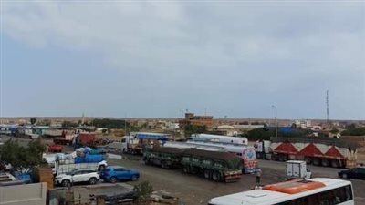 استمرار تكدس السيارات والأتوبيسات بطريق رأس غارب في البحر الأحمر |صور