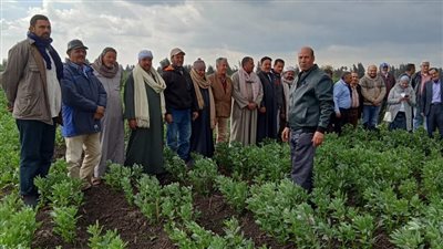 الزراعة: تنفيذ الأنشطة الإرشادية والتدريبية لـ 80 مدرسة حقلية في 16 محافظة