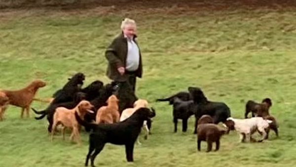 حظيرة الكلاب