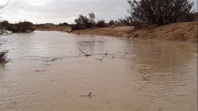 فتح طريقين رئيسين بمدينة نخل في وسط سيناء بعد انحسار السيول 