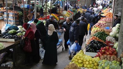 الطماطم بـ8 والفراخ البلدي بـ48 جنيهًا.. أسعار الخضراوات والدواجن اليوم في الأسواق | بث مباشر