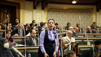 عضو اقتصادية النواب: تعديلات سوق المال تصلح مناخ الاستثمار وتطبق الحوكمة