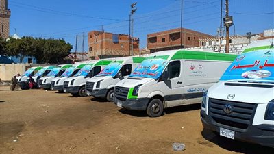 اليوم.. صحة المنيا تنظم قافلة طبية علاجية بقرية طهنا الجبل  