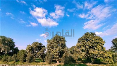 ارتفاع جديد في درجات الحرارة بالفيوم.. والعُظمى تسجل 21 مئوية