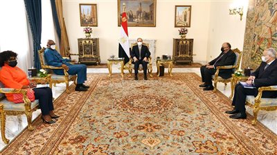 السيسي يستقبل وفدًا من الآلية الإفريقية لمراجعة النظراء | صور
