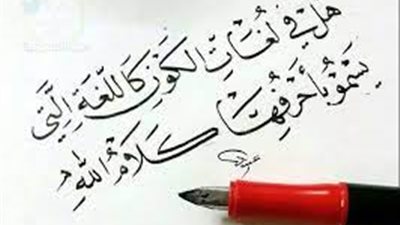 تزامنًا مع اليوم العالمي للغة الأم.. هل يجيد المصريون اللغة العربية؟