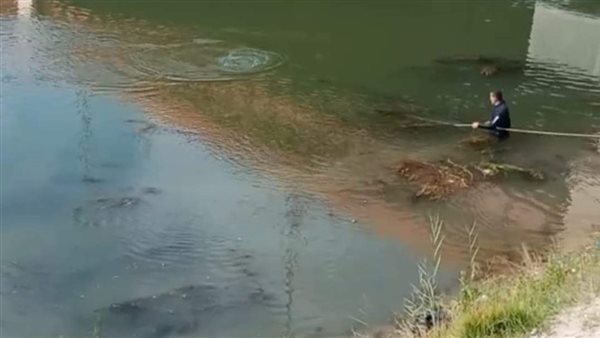 قوات الإنقاذ النهري