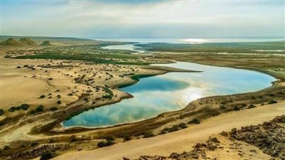 محمية قارون أقدم البحيرات الطبيعية في العالم وتحتوي على نصف طيور مصر 
