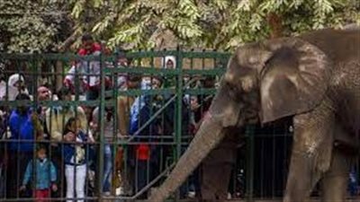 حدائق الحيوان: لم يتم المساس بأسعار التذاكر منذ 8 سنوات