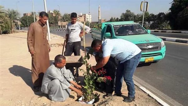 زراعة 4000 شجرة بأخميم