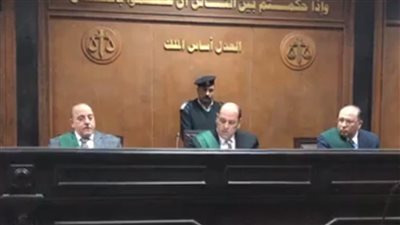 لسبه زوجته.. تأجيل محاكمة ترزي بتهمة قتل شقيقه حرقًا في القليوبية