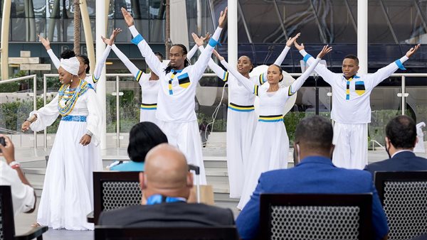 جانب من العروض 