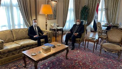 وزير الخارجية يبحث مع نظيره المجري كافة الملفات الإقليمية والدولية | صور 