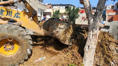 إزالة 111 حالة تعد ضمن المرحلة الثانية من الموجة الـ 19 بالبحيرة