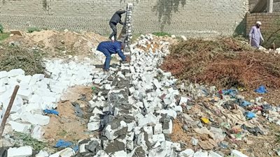 استمرار حملات الموجة الـ19 لإزالة التعديات على أراضى الدولة بالإسكندرية 