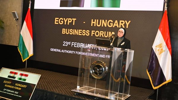 نيفين جامع، وزيرة