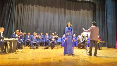 ورش ولقاءات أدبية متنوعة.. تفاصيل فعاليات الثقافة بالصعيد