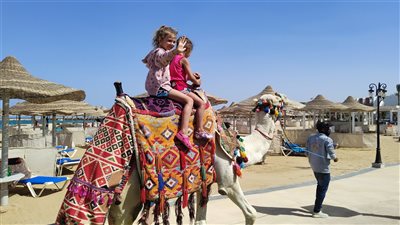 رغم الحرب السياح الروس والأوكران يستمتعون بمياه البحر الأحمر| صور وفيديو