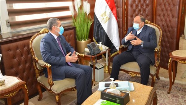 التنمية المحلية 