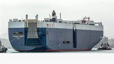 السويدي وسليمان وزكي هاشم.. أعضاء جدد بتشكيل الهيئة العامة للمنطقة الاقتصادية لقناة السويس | مستند 