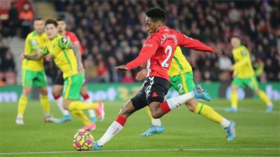 ساوثهامبتون يتخطى نورويتش سيتي بثنائية في الدوري الإنجليزي